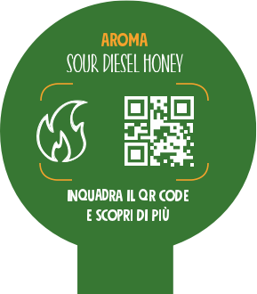 Mielabis - miele con CBD