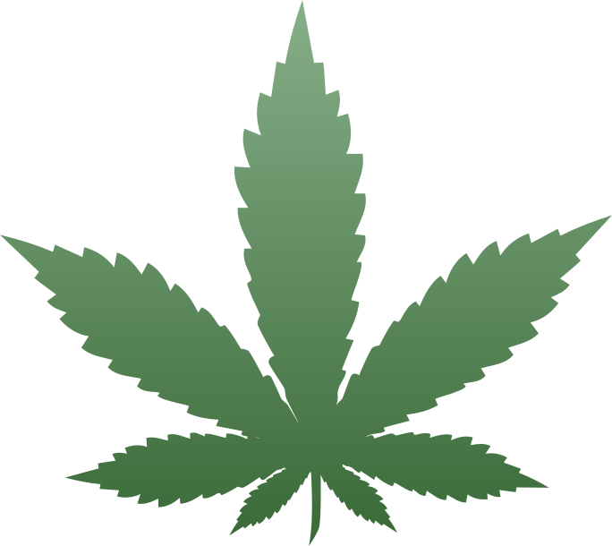 Mielabis - miele con CBD