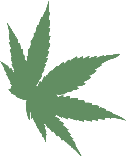 Mielabis - miele con CBD